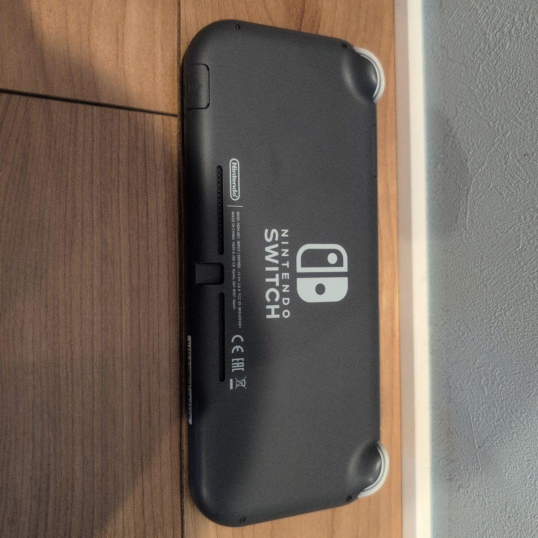 Nintendo Switch Lite グレーケース＆64GBSDカード付き