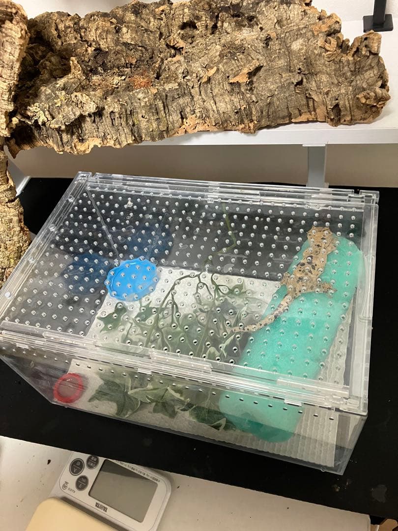 【新品未使用】爬虫類ケージ　ゲージ　アクリル　マグネット　スライド式 6box