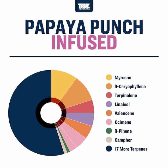 TRUE テルペン 香料 CBD CBN CBG 10ml ダッチハワイアン