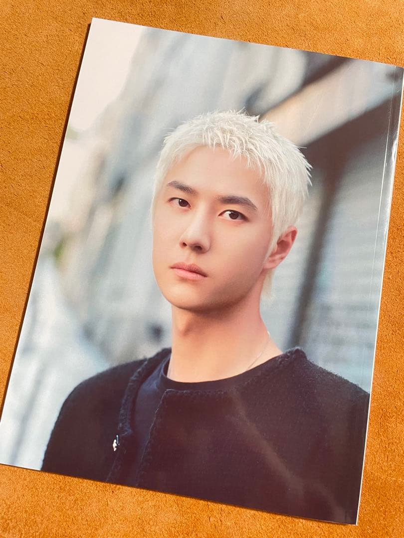 ②2023最新　王一博パリファッションウィーク写真集　A4サイズ28P  陳情令