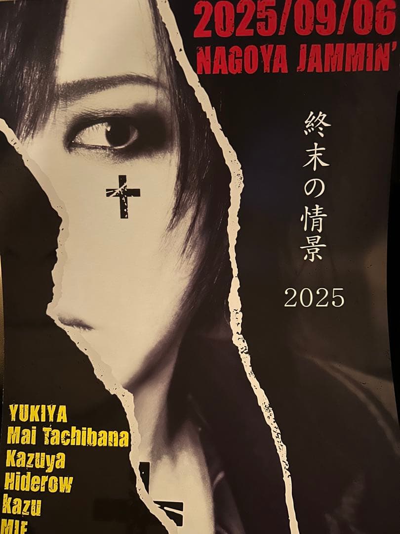 ぱ*ぱ様 D≒SIRE 独白25周年 福袋 新品 kαin 藤田幸也 終末の情景