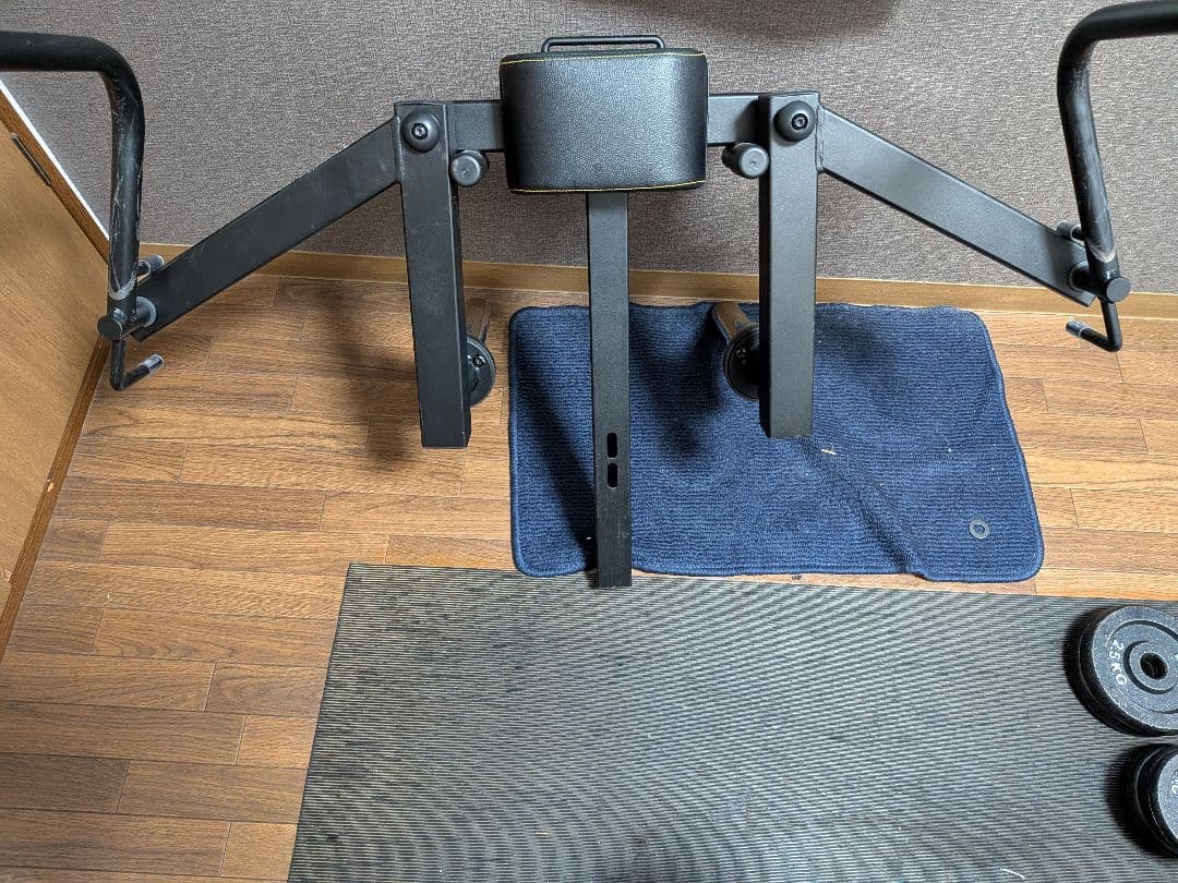 POWERTEC ペックフライやや使用感あり