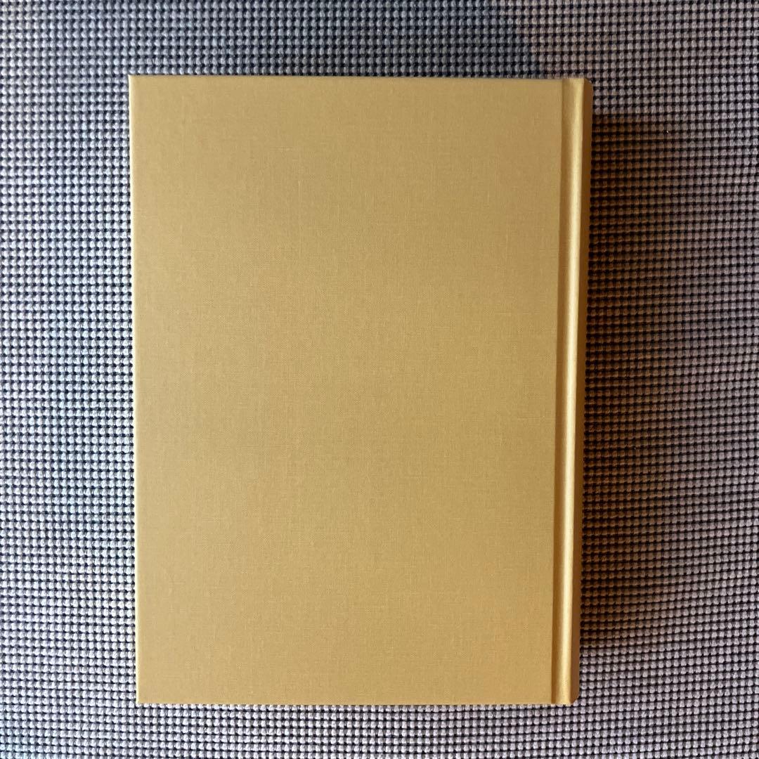 補 統合失調症症候学　中安信夫　星和書店