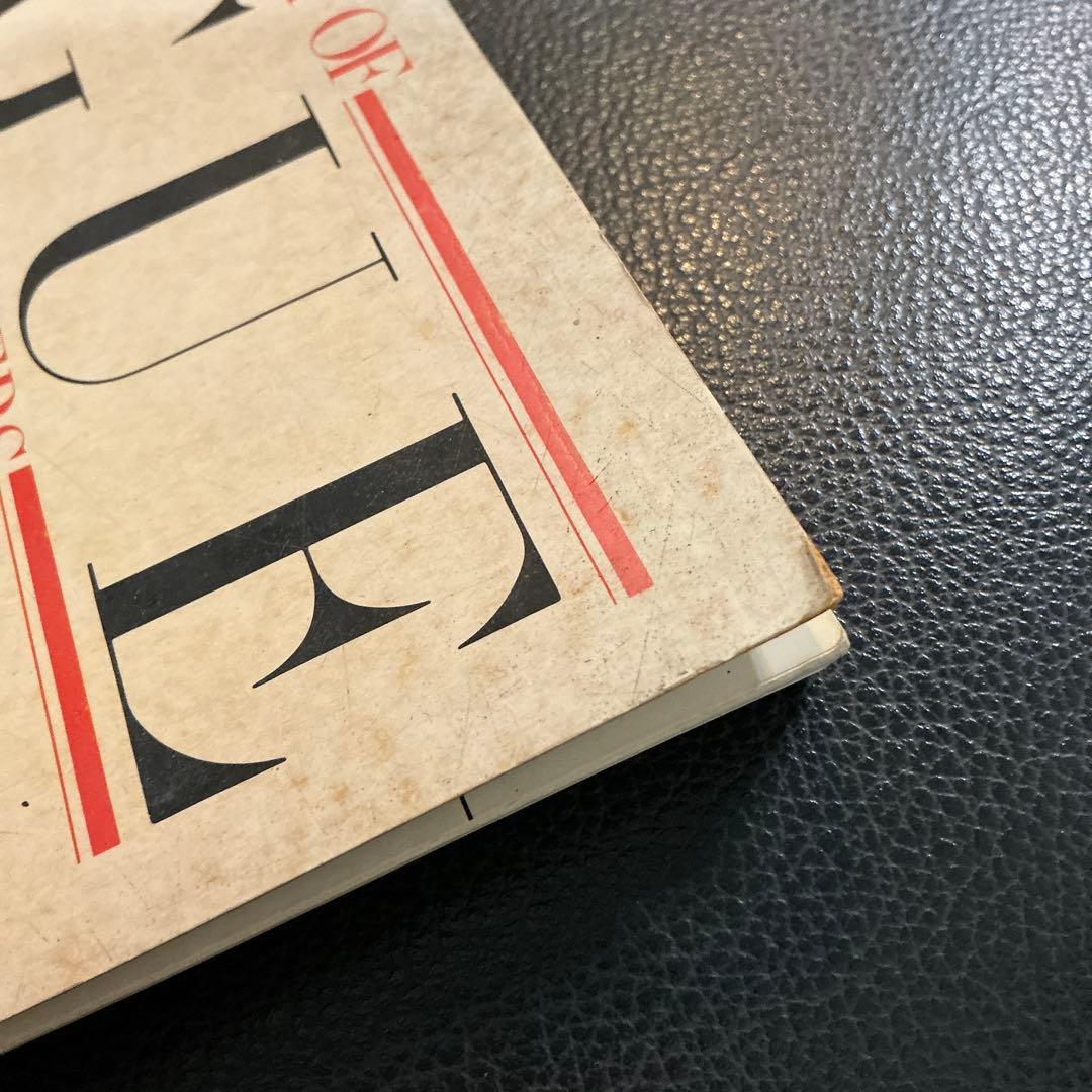 希少　THE ART OF VOGUE VALERIE LLOYD