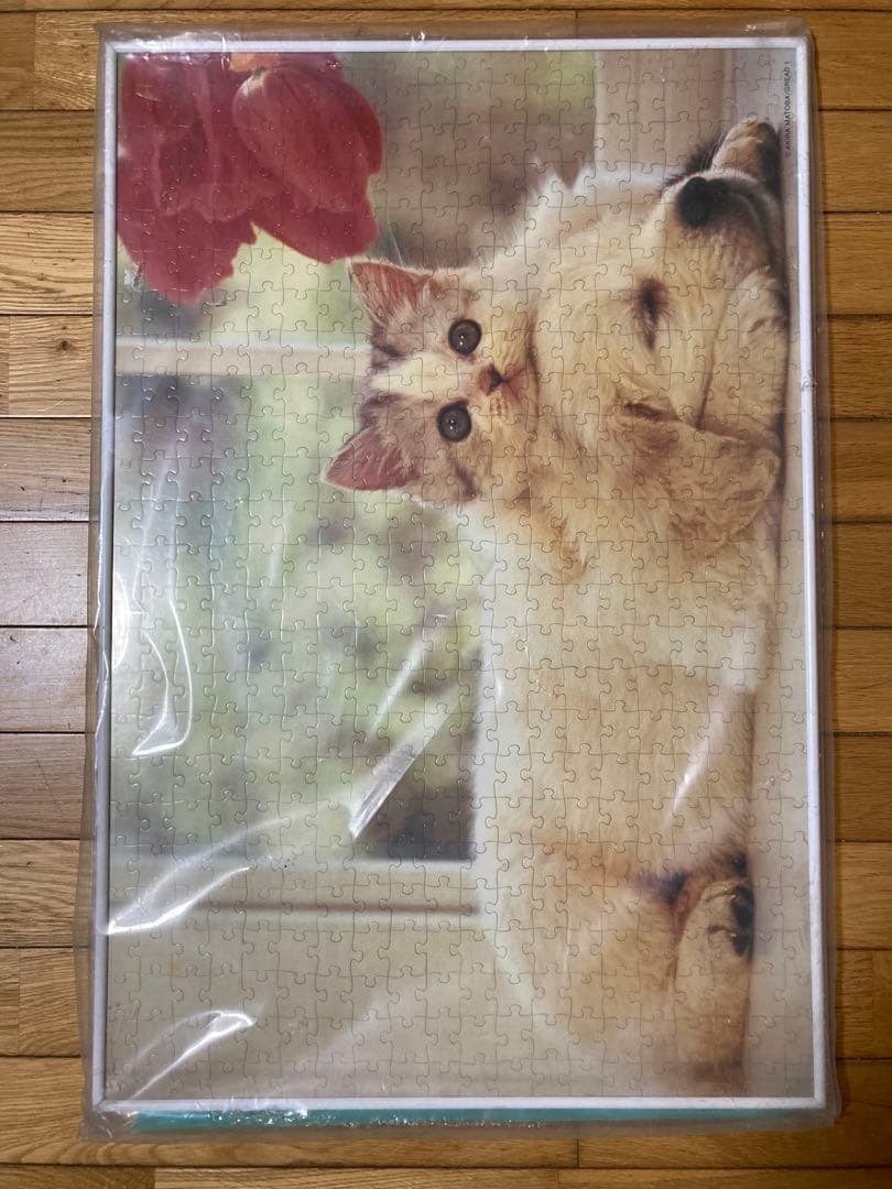 500P⑪犬と猫ᵔᴥᵔ　写真ジグソーパズル　ホワイト額50×75㎝　完成品