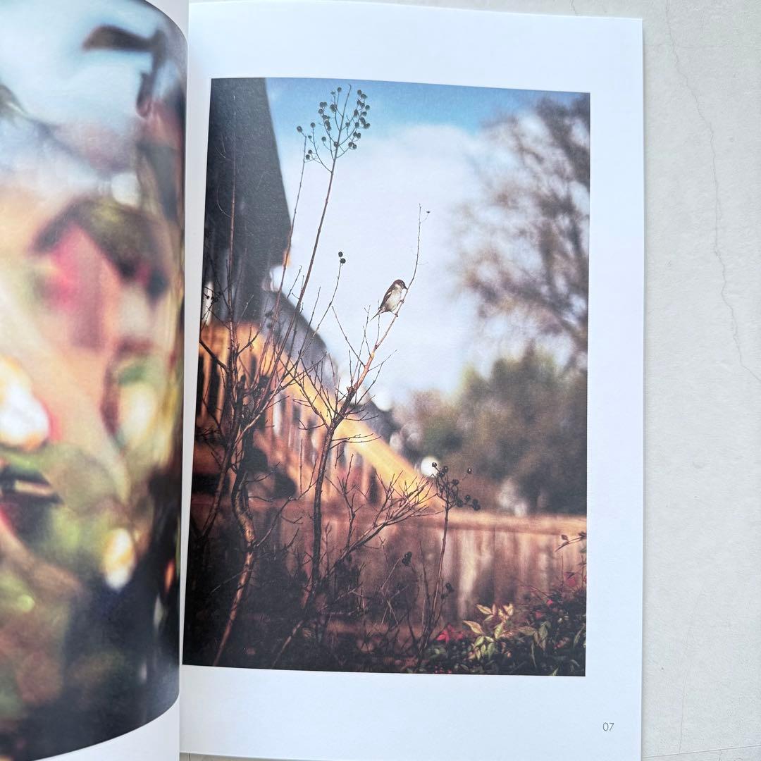 洋書 As the Crow Flies - Terri Weifenbach