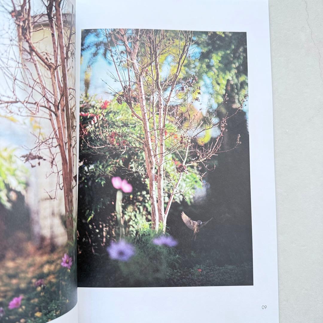 洋書 As the Crow Flies - Terri Weifenbach