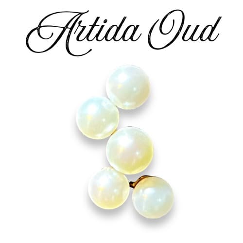 リバーススタッドピアス｜絡まるパールが可憐なジュエリー【アルティーダ ウード】