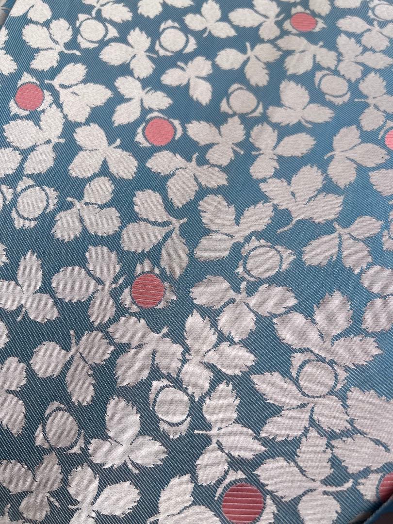 イイダ傘店　雨傘 野いちご ブルーベリー