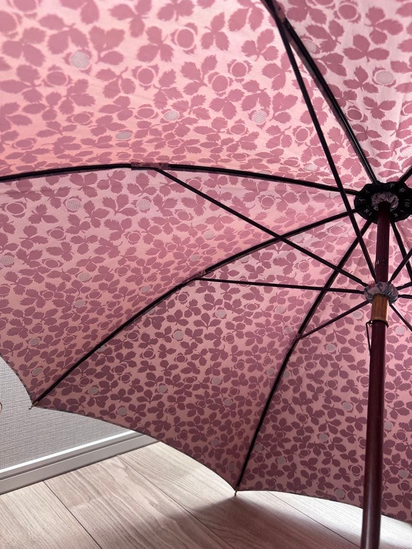 イイダ傘店　雨傘 野いちご ブルーベリー