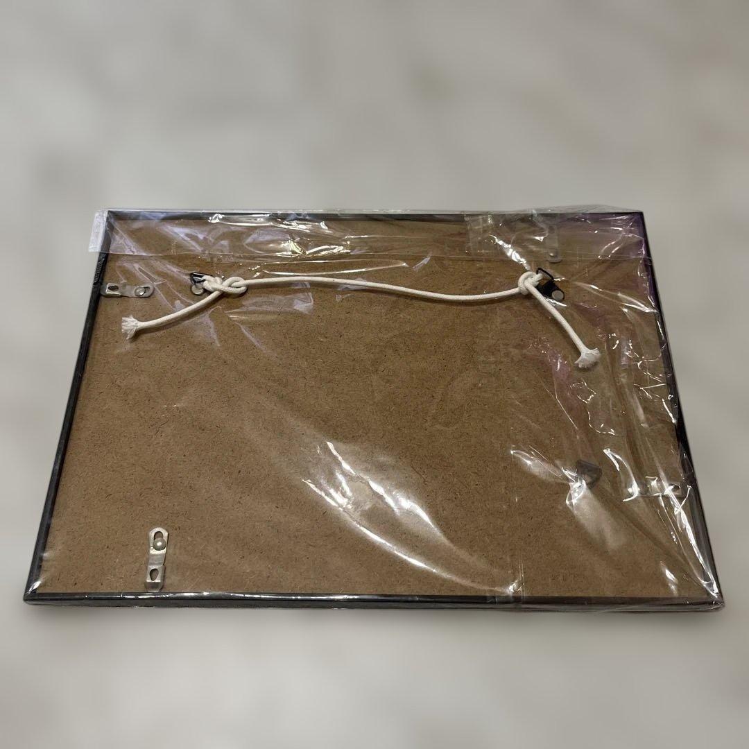 マイケルジャクソン MichaelJackson LP レコード サイン額縁