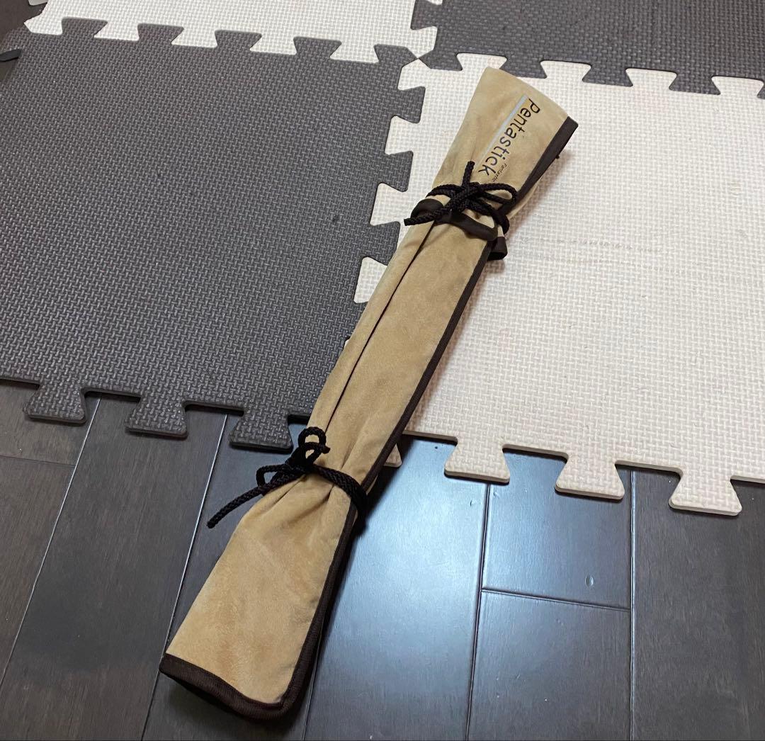 リチャーズ ワイルドジョーカー 4LB-511R-SS ペンタスティック