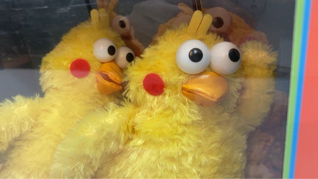 ☆未使用☆非売品☆レア☆ ポインコ　ブラザーズ　D POINT