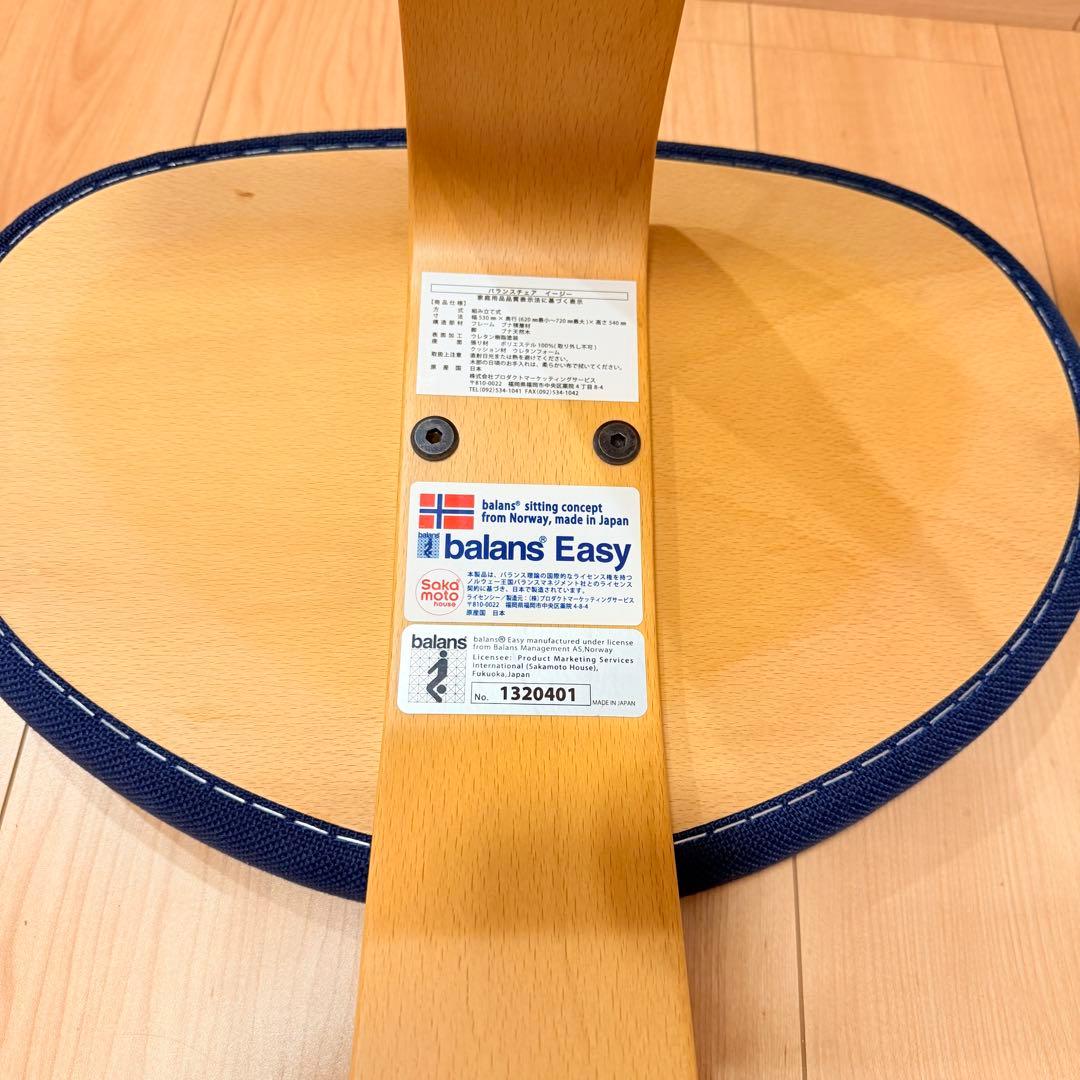 バランスイージー【Rybo balans EASY】サカモトハウス カバー有