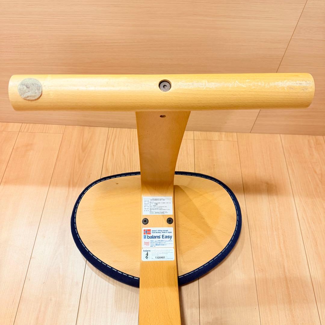 バランスイージー【Rybo balans EASY】サカモトハウス カバー有