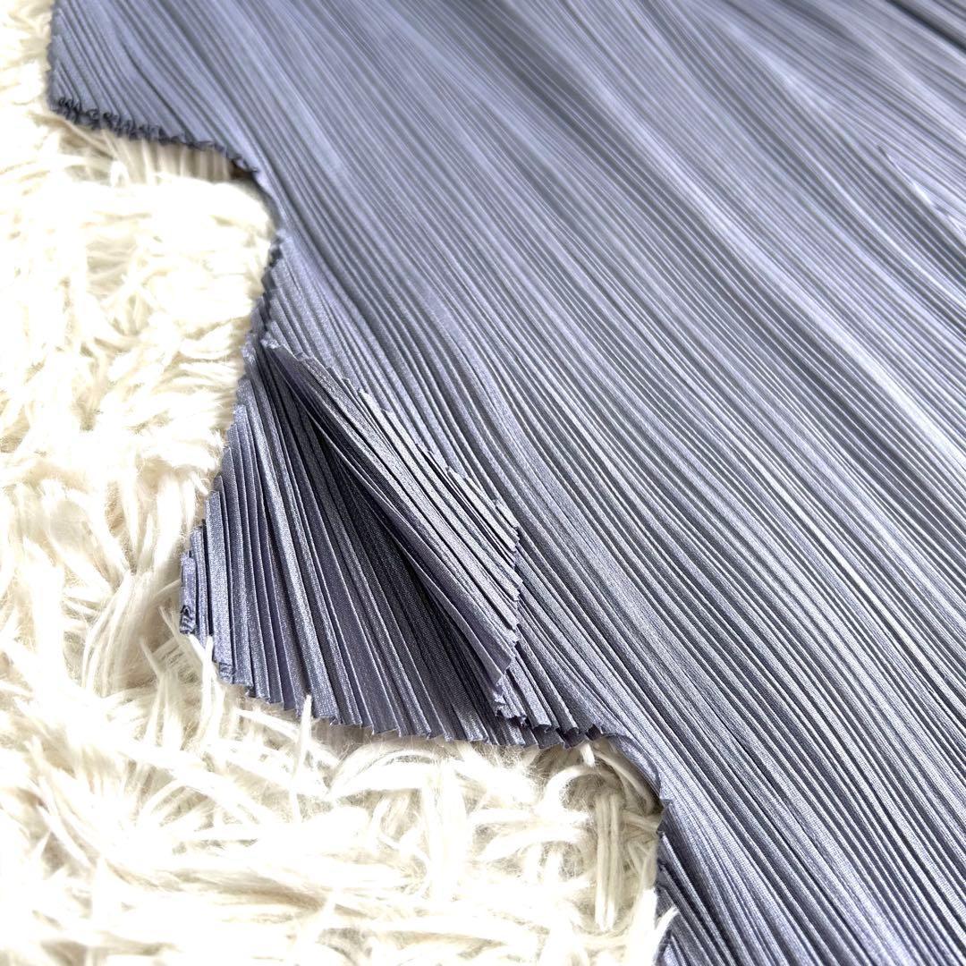 【美品】プリーツプリーズ 希少 変形 ギザギザ 型押し パンツ グレー 1