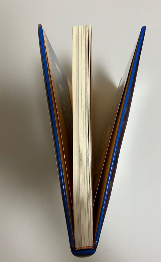 BLOW UP 田名網敬一 1963-1974