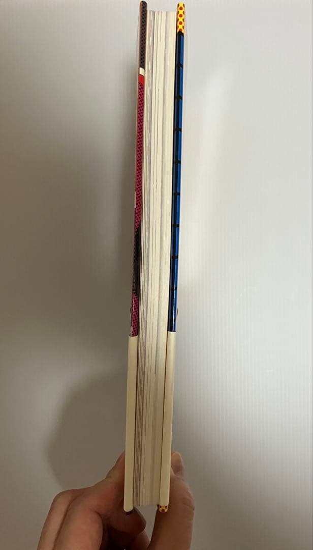 BLOW UP 田名網敬一 1963-1974