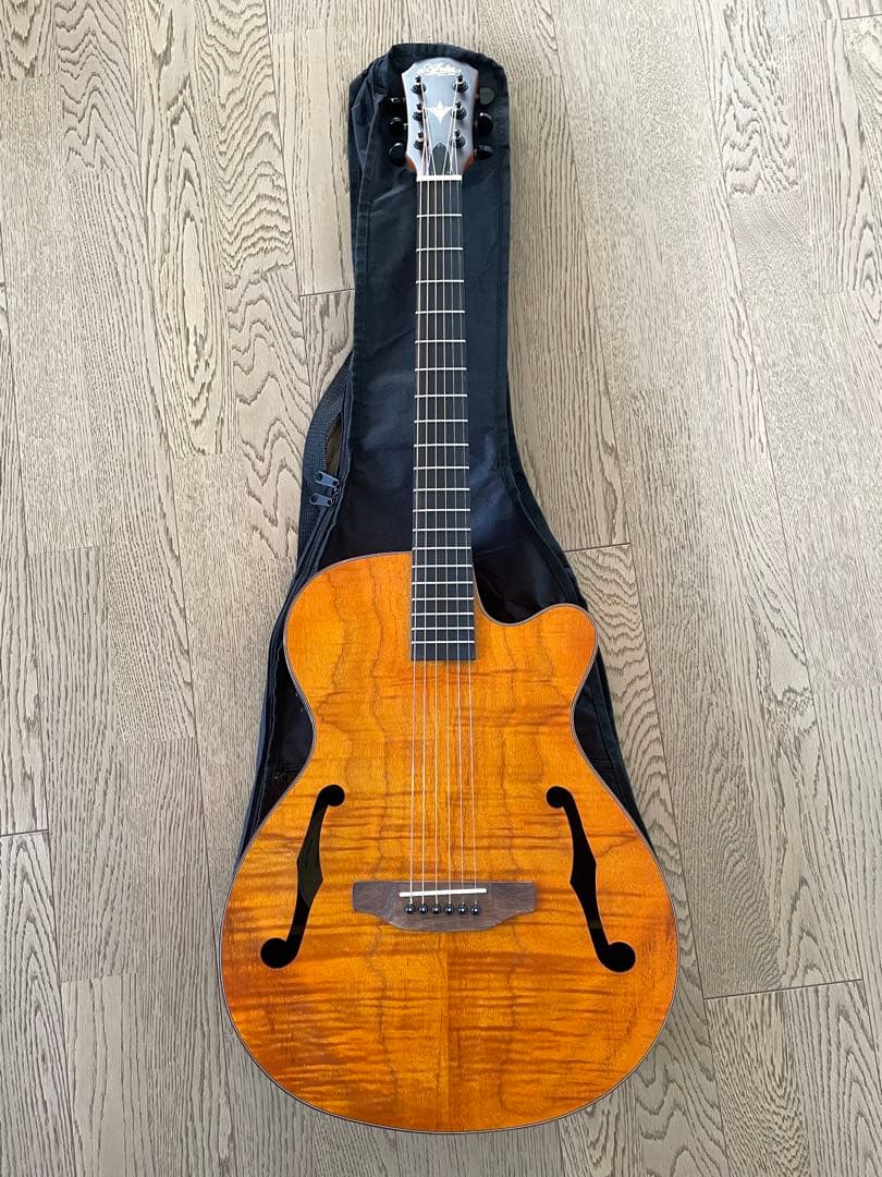 ARIA FET-F2 STBR エレアコ アコースティックギター