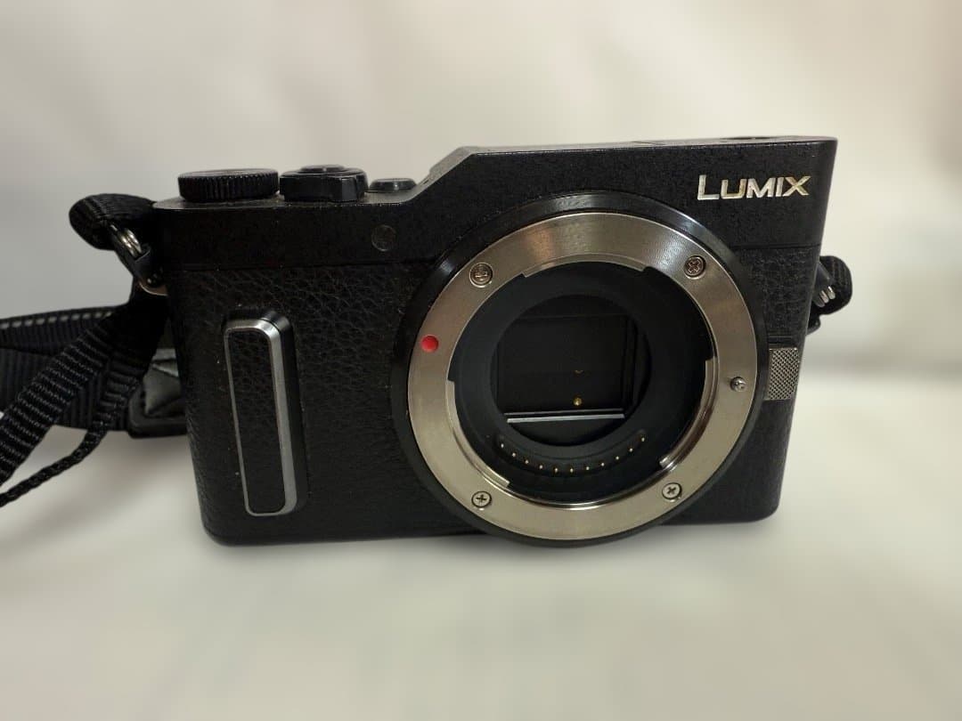 Panasonic LUMIX DC-GF10 ミラーレス一 ダブルレンズキット