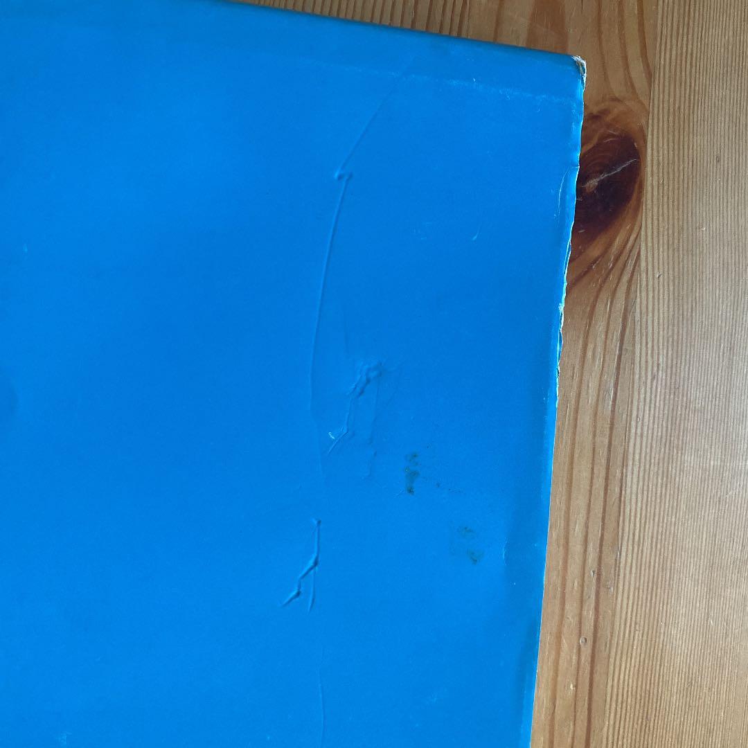 この星 野口里佳