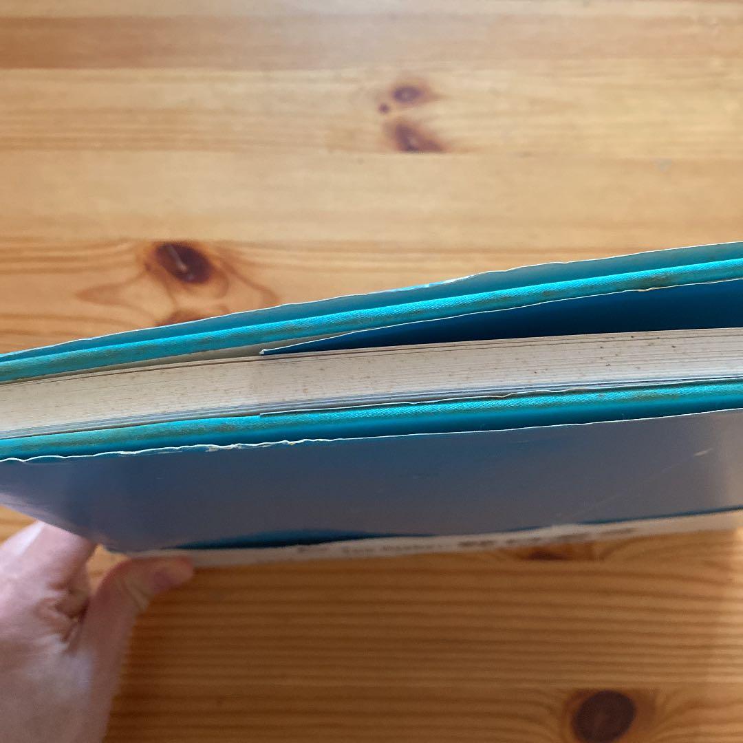 この星 野口里佳