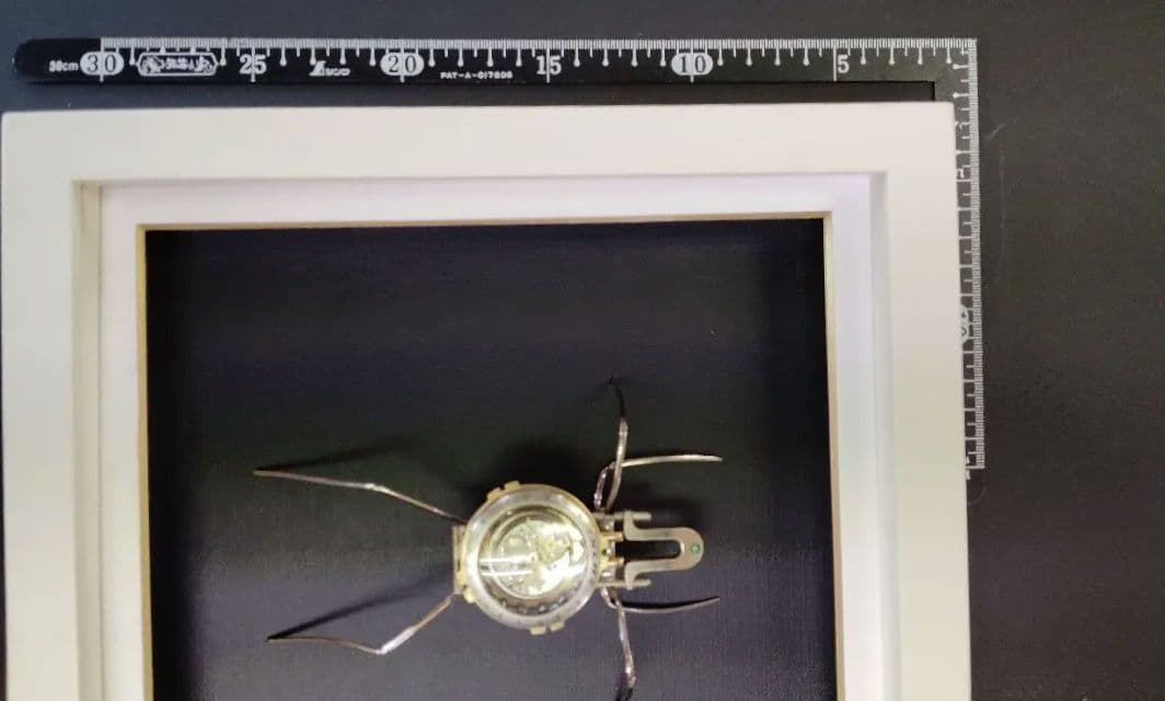 スチームパンク　懐中時計使用昆虫（額入り）G-01