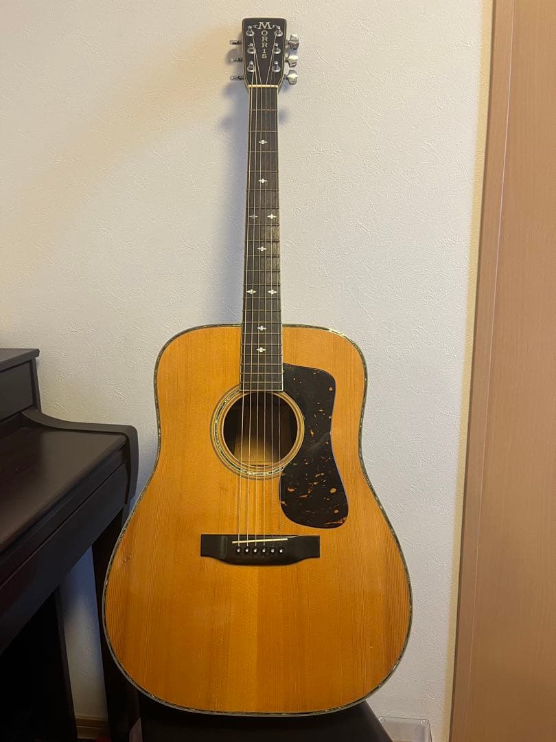 MORRIS Special 60 ハカランダサイドバック