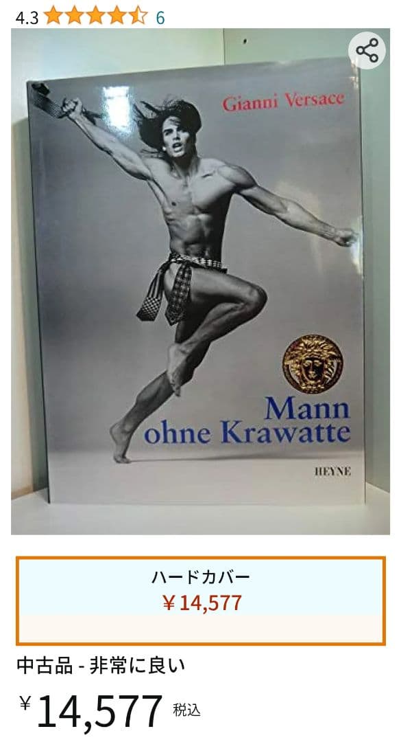 男性写真集　Mann ohne Krawatte HEYNE