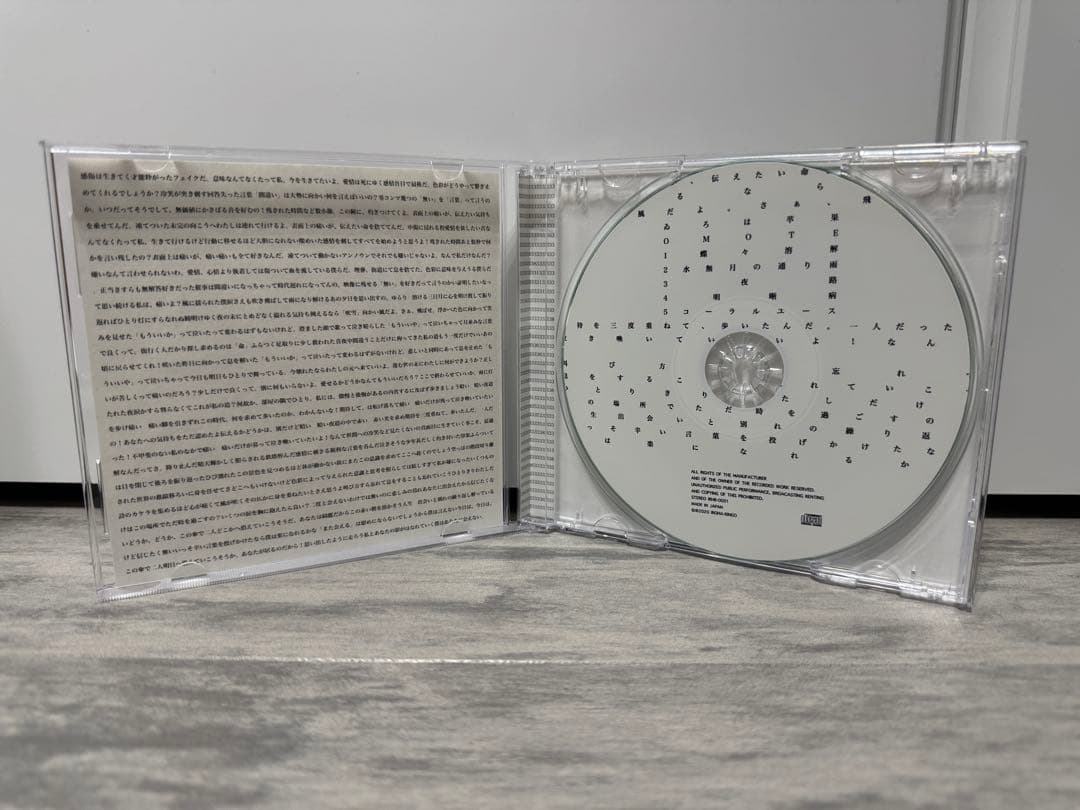 【直筆サイン入り】APPLE 表 裏　ゐろは苹果　wyiroha　同人CD