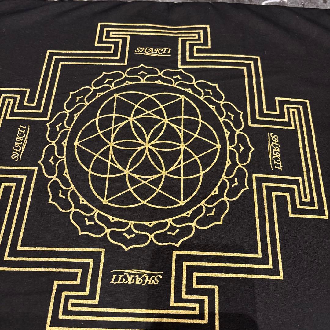 【正規品】シャクティマット　セット