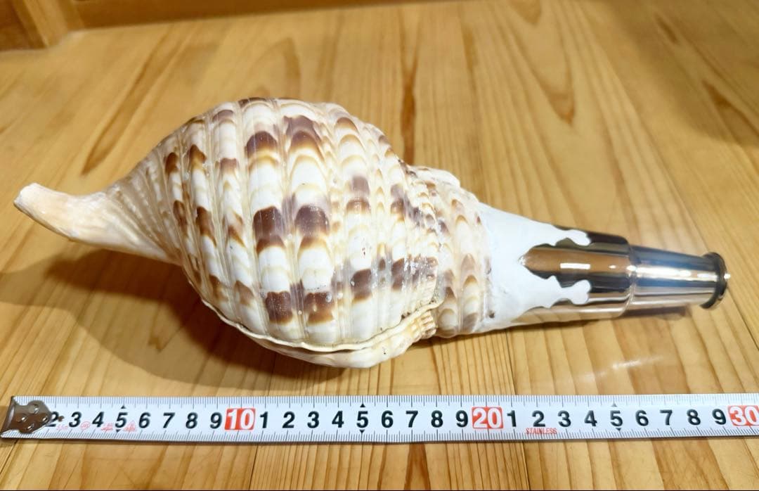 コンパクト修験道法螺貝　山伏　密教　熊よけ　魔除け❣️ホラガイ　ほら貝