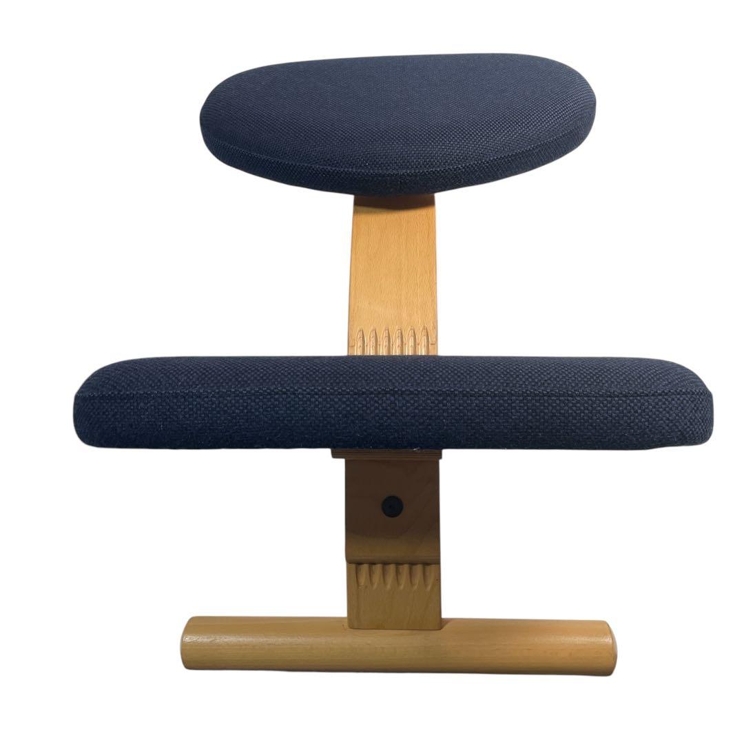 Rybo Balans Easy バランスチェア サカモトハウス ネイビー 椅子