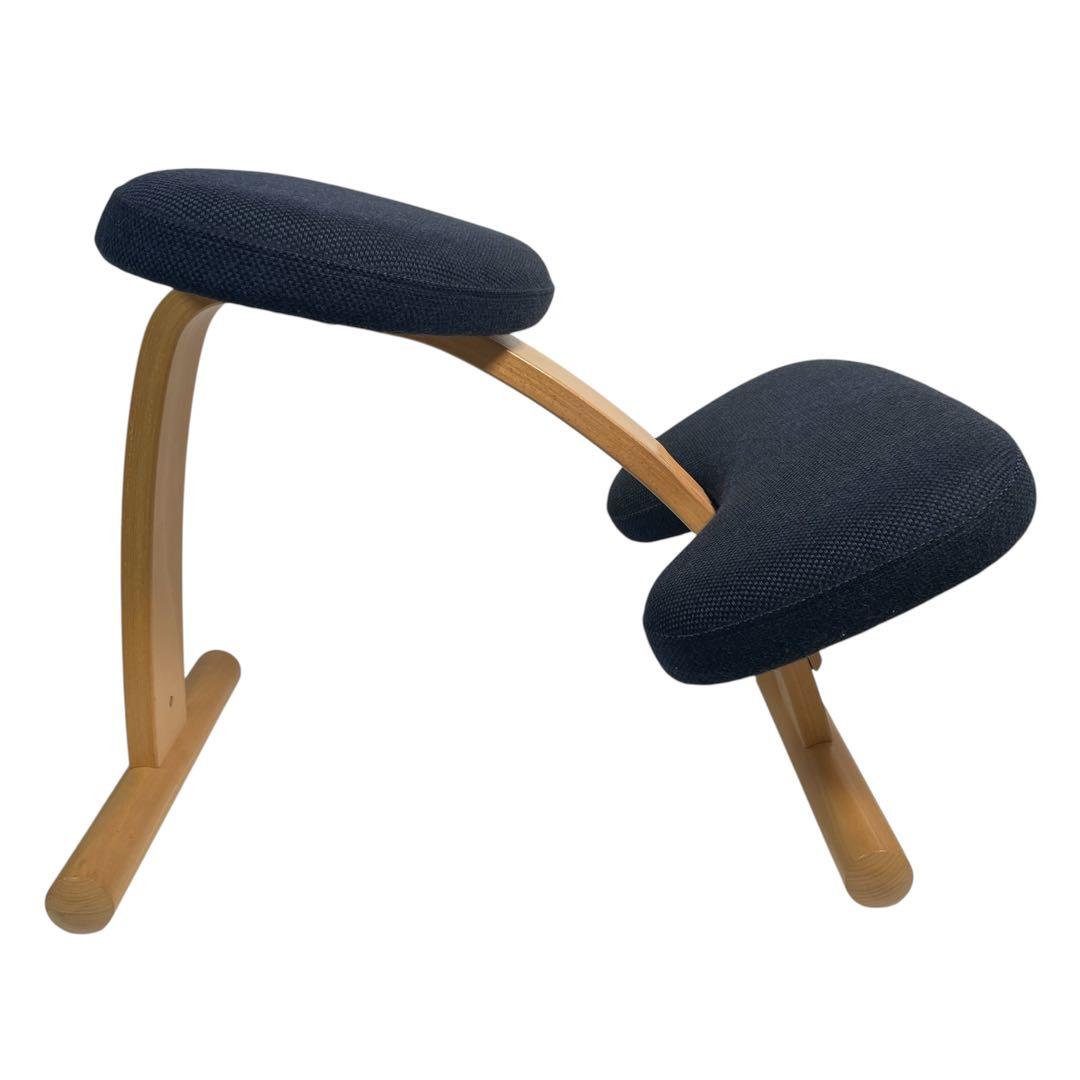 Rybo Balans Easy バランスチェア サカモトハウス ネイビー 椅子