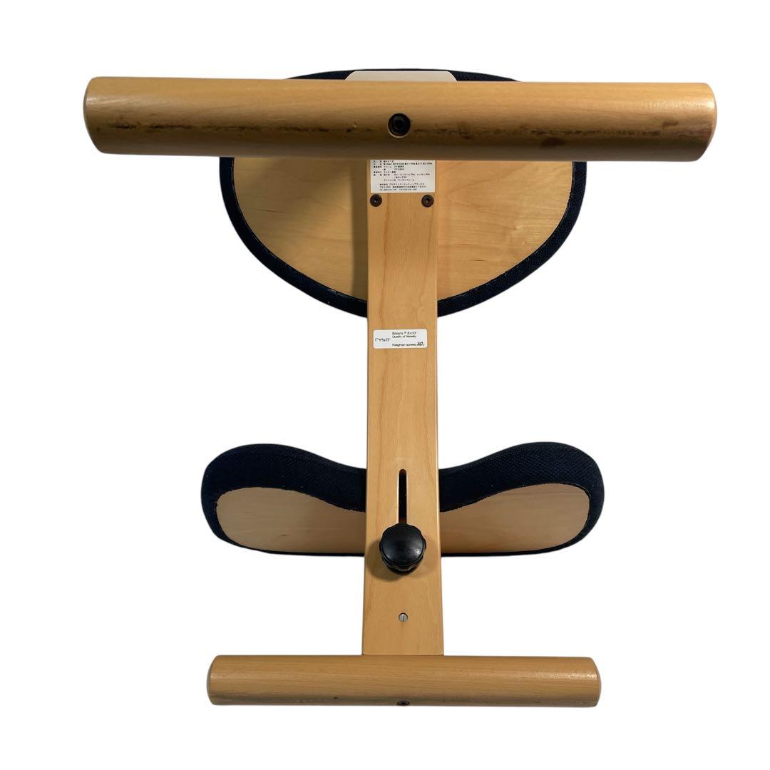 Rybo Balans Easy バランスチェア サカモトハウス ネイビー 椅子