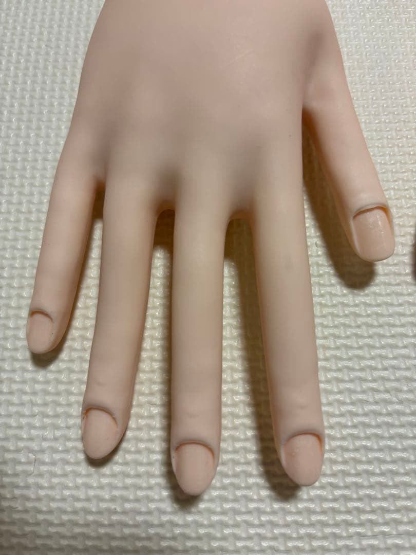 【一度のみ使用】　ネイリスト技能検定試験用　JNEC認定モデルハンド　セット