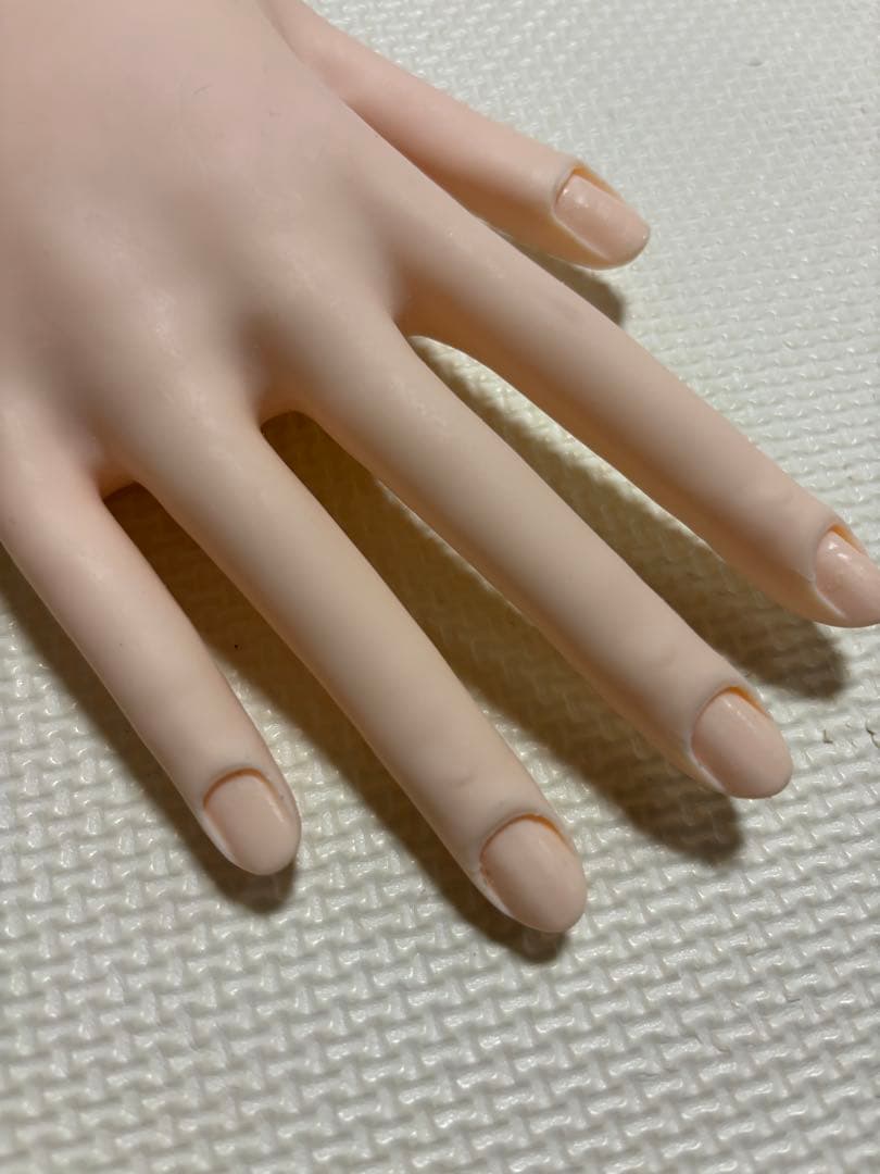 【一度のみ使用】　ネイリスト技能検定試験用　JNEC認定モデルハンド　セット