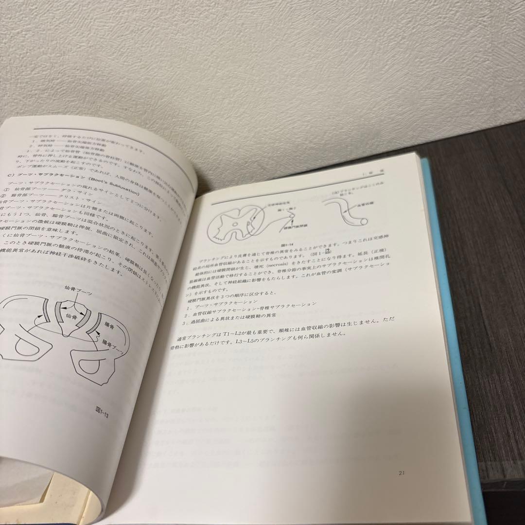 臨床家のためのブロックテクニック