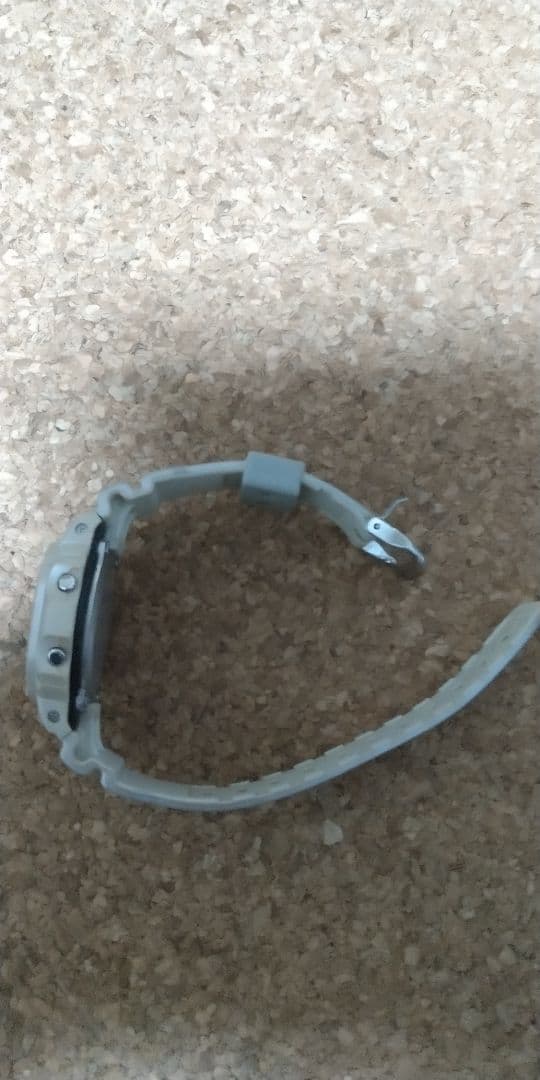 G-SHOCK DW-5600 サソリ スコーピオン カシオ