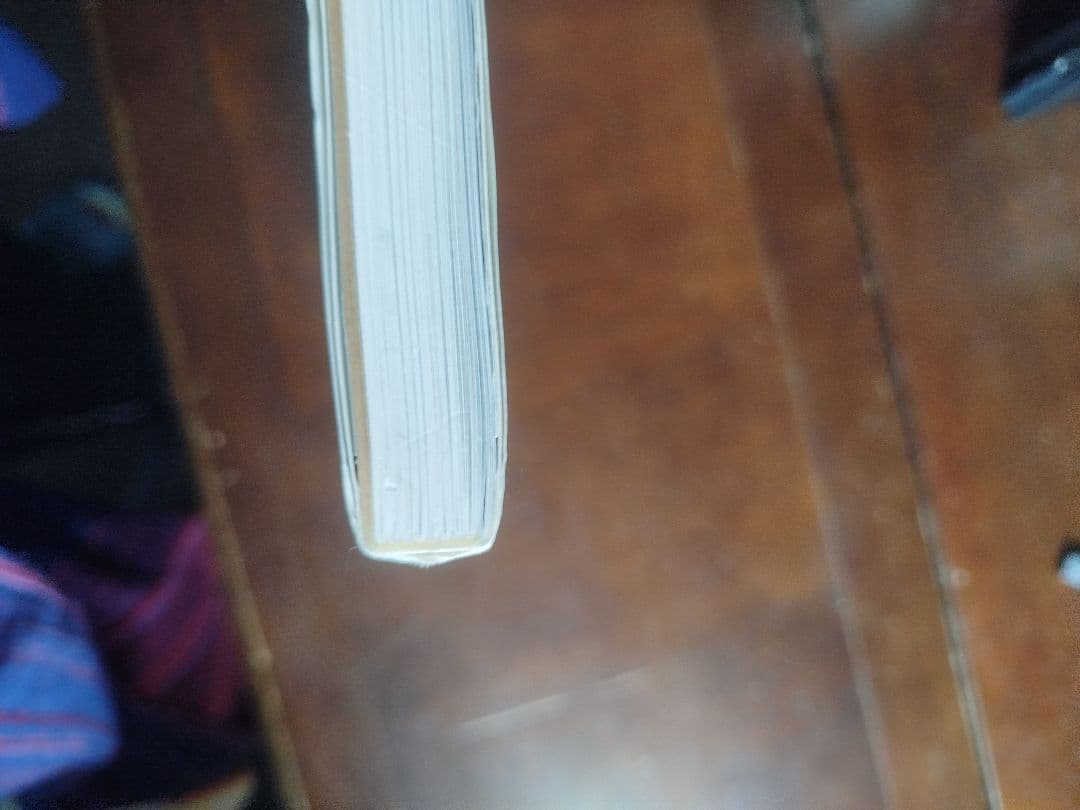 Roni Horn アートブック Phaidon