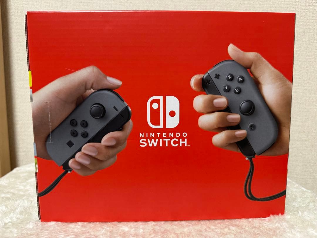 Nintendo Switch 本体　グレー　ケース付き