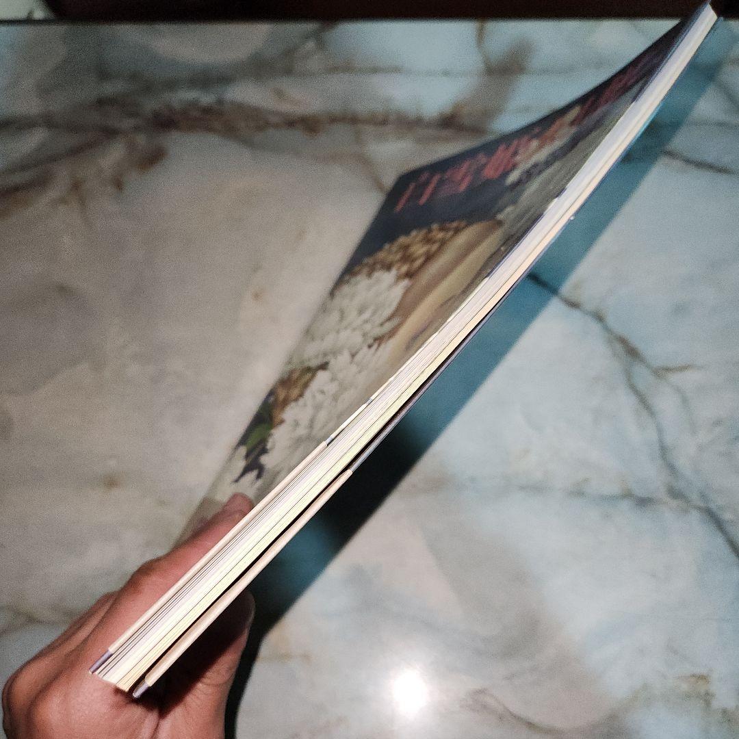 内田善美 イラスト集 2冊セット