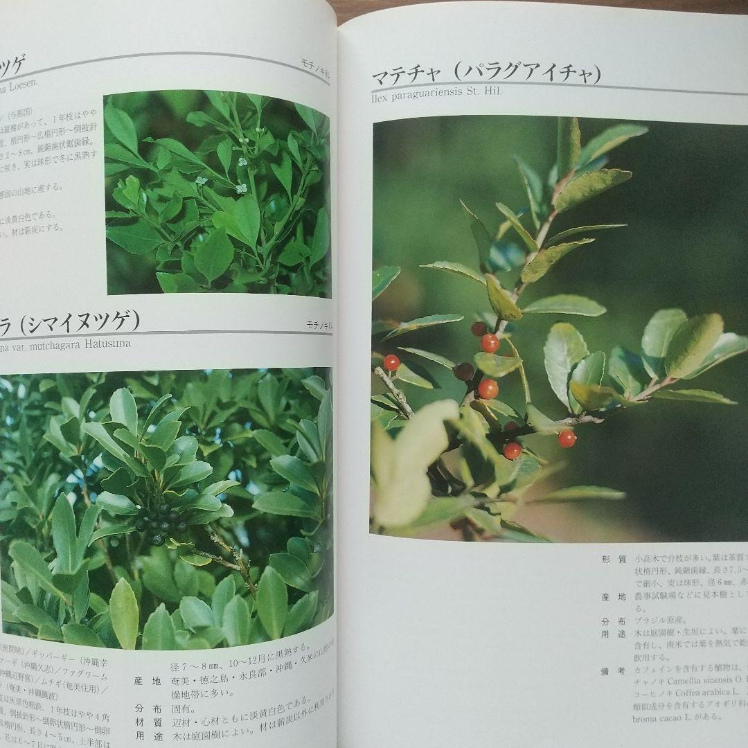 図鑑 琉球列島有用樹木誌