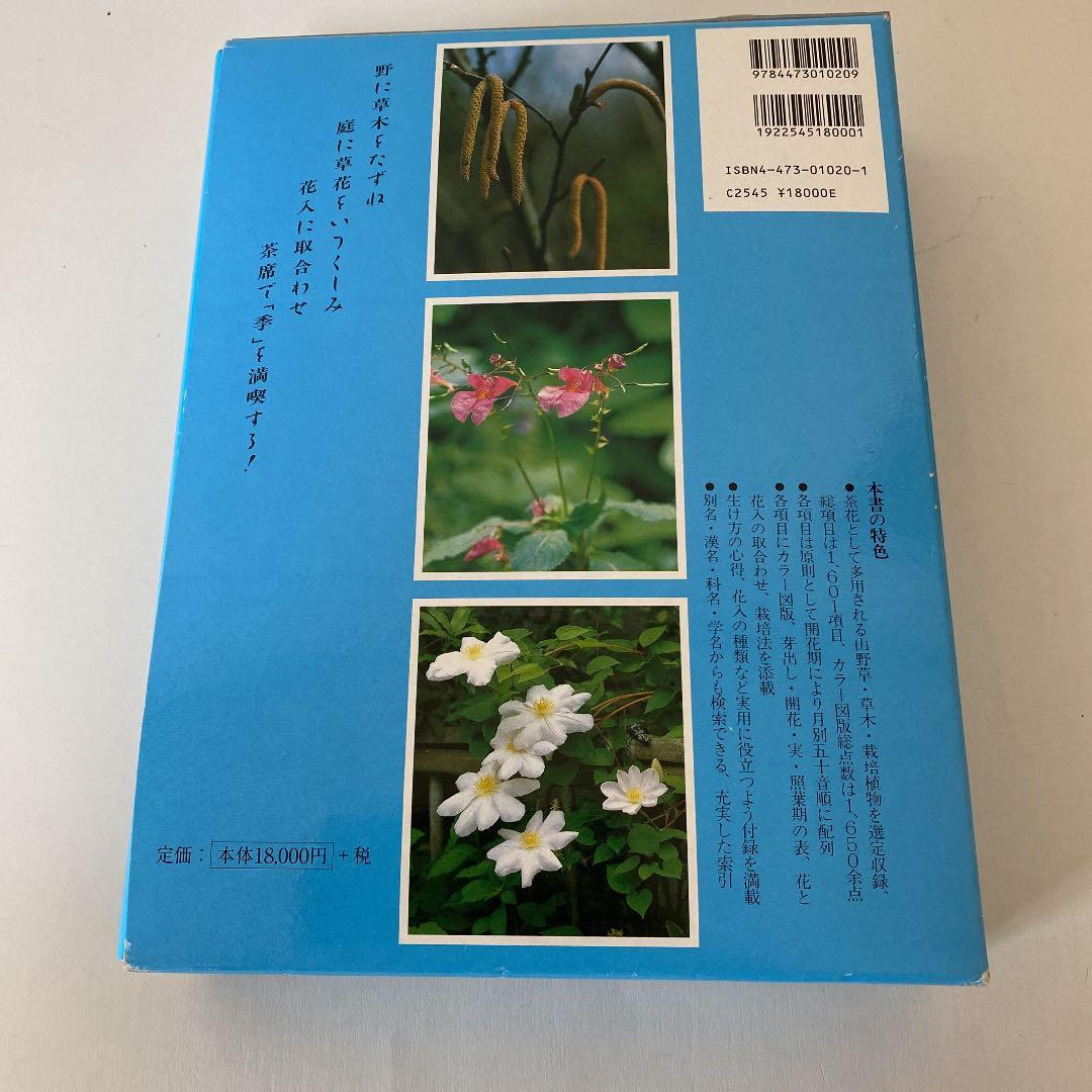 原色茶花大事典