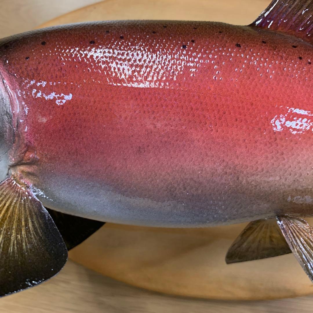 S*リ様 剥製　魚類剥製工房エフクラフト　晩秋の雄ヒメマス 33センチ 最終形態