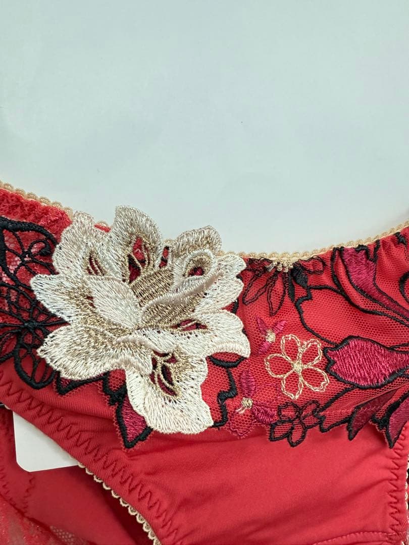 Salute 上下セット　 花柄刺繍 キャミソール L-80ショーツM