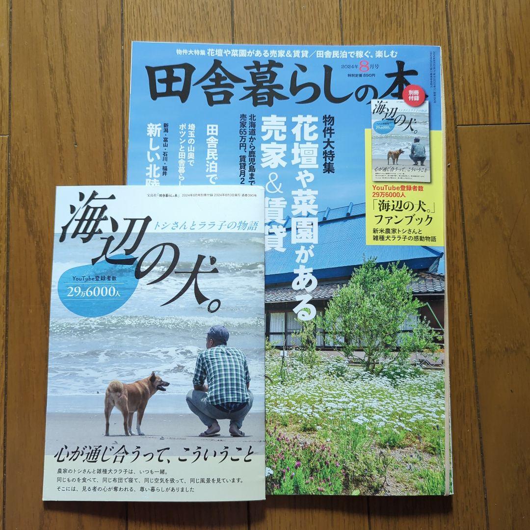 田舎暮らしの本 2024年8月号