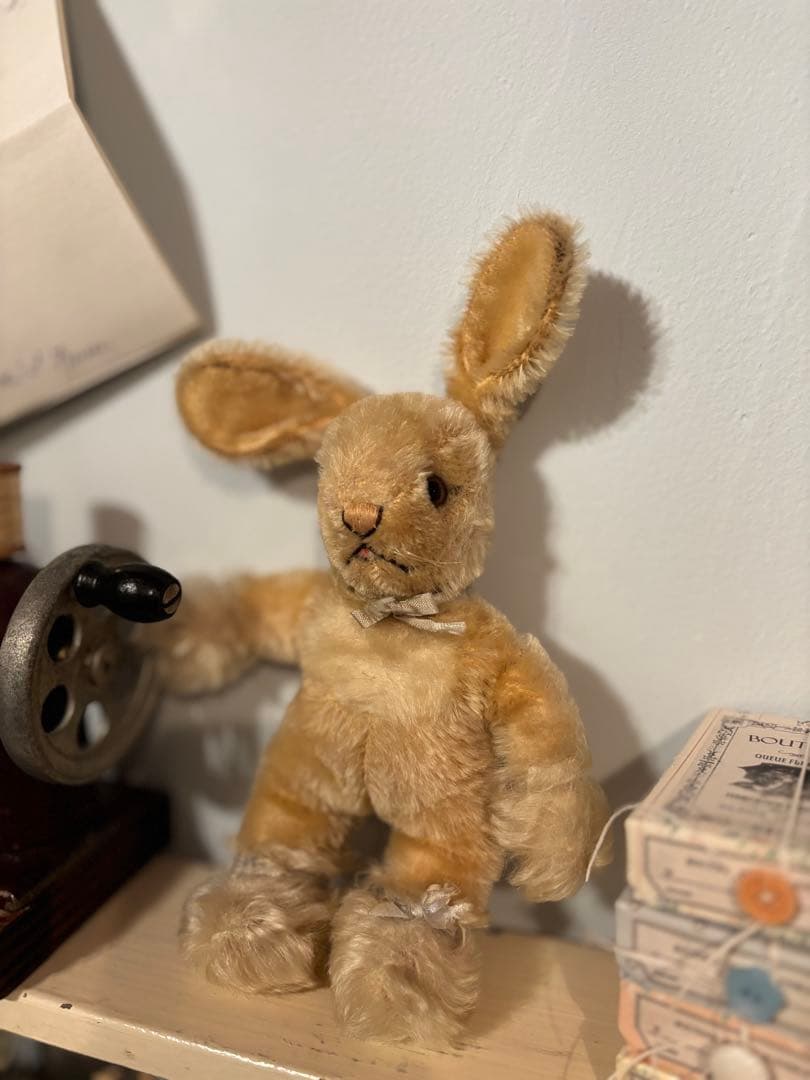 シュタイフBaby Rabbit sassy