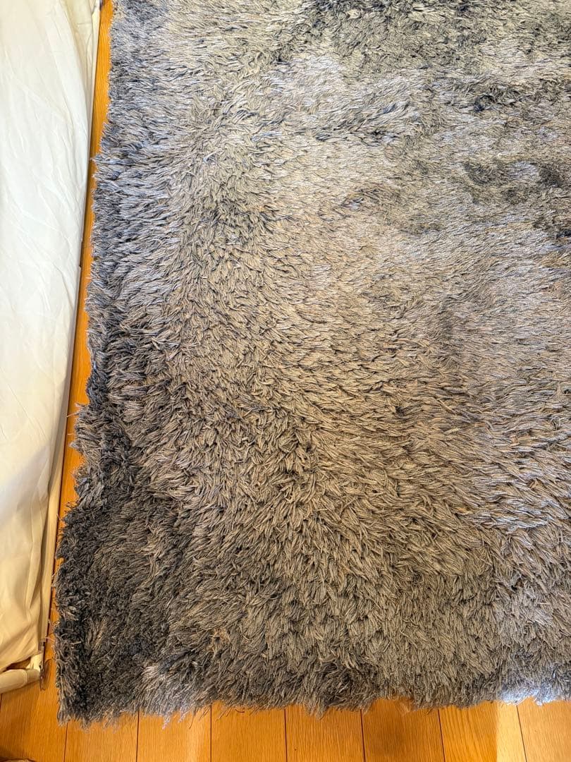 ACTUS アクタス ラグ 1700 × 2400