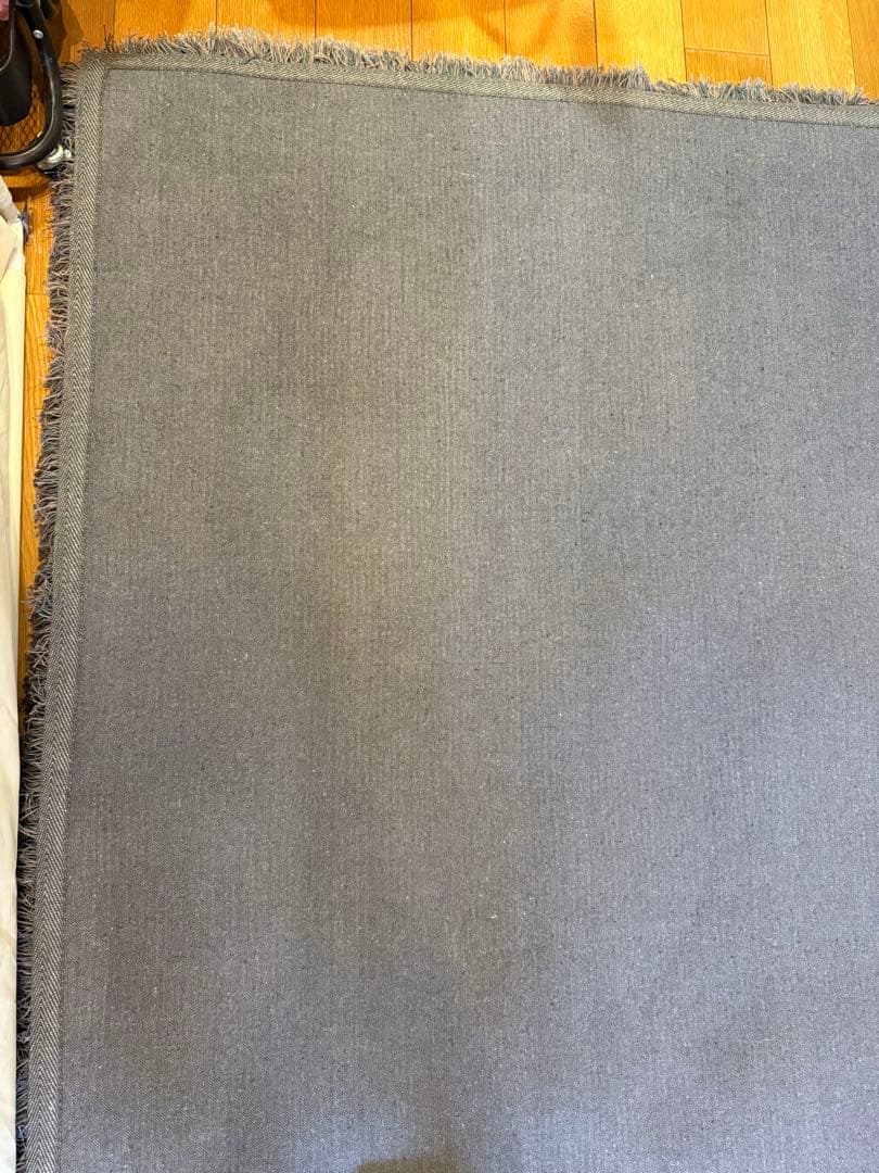 ACTUS アクタス ラグ 1700 × 2400